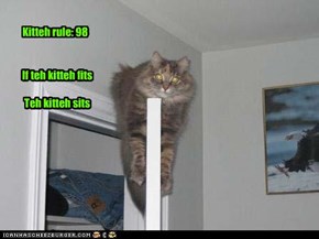 If teh kitteh fits   Teh kitteh sits