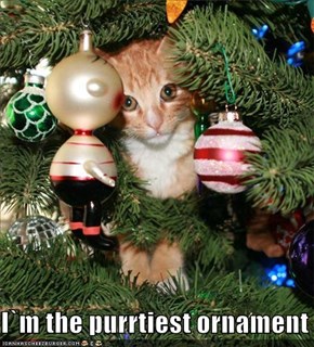 I`m the purrtiest ornament