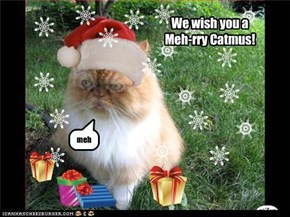 Meh-rry Catmus!