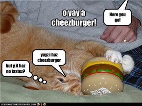 kitteh gets a cheezburger!