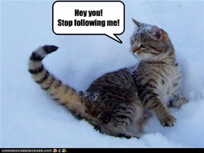 Stop following me!