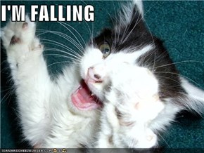 I'M FALLING
