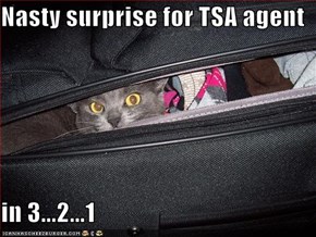 Nasty surprise for TSA agent  in 3...2...1