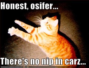 Honest, osifer...  There's no nip in carz...