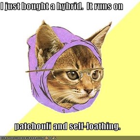 I just bought a hybrid.  It runs on   patchouli and self-loathing.