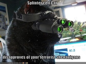 Splinter cell Cat  disapproves of your terrorist shenanigans