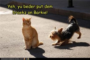 Yeh, yu beder put dem braekz on Barkie!