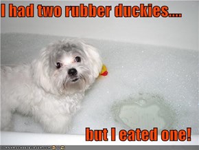 I had two rubber duckies....  but I eated one!
