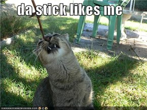 da stick likes me