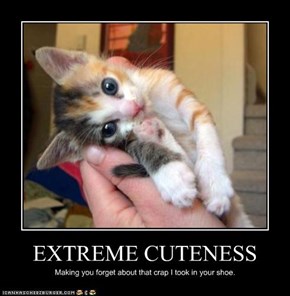 EXTREME CUTENESS