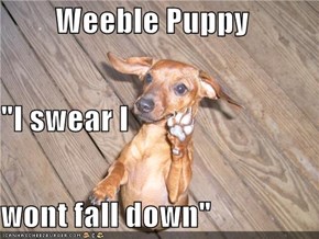 Weeble Puppy "I swear I wont fall down"
