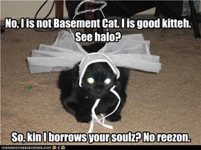 No, I is not Basement Cat. I is good kitteh. See halo?
