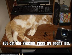 LOL  cat  haz  kwashd.  Pleez  try  agens  latr.