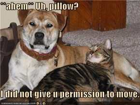 **ahem** Uh, pillow?  I did not give u permission to move.