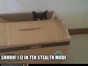 Stealth Mode: Engage!
