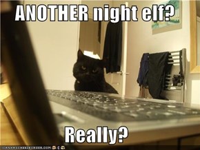 ANOTHER night elf?  Really?
