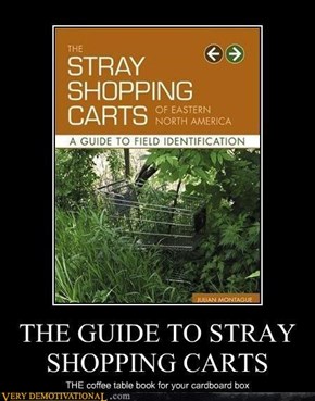 THE GUIDE TO STRAY SHOPPING CARTS