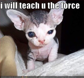 i will teach u the force