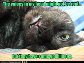 The voices in my head might not be real...