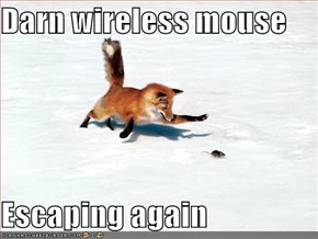 Darn wireless mouse  Escaping again