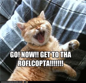 GO! NOW!! GET TO THA ROFLCOPTA!!!!!!!