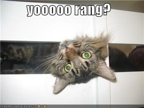 yooooo rang?