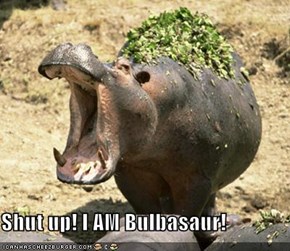 Shut up! I AM Bulbasaur!