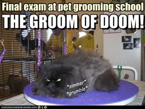 Final exam at pet grooming school... the Groom of Doom!!