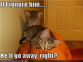 If I ignore him.....  He'll go away, right?