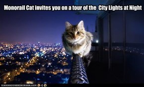 Monorail Cat invites you on a tour of the  City Lights at Night