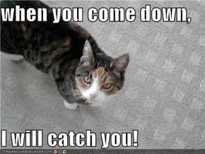 when you come down,  I will catch you!