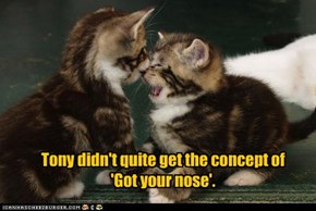 Tony didn't quite get the concept of  'Got your nose'.