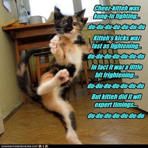 Cheez-kitteh was kung-fu fighting...