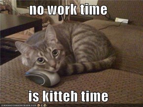 no work time  is kitteh time