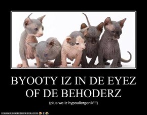 BYOOTY IZ IN DE EYEZ OF DE BEHODERZ
