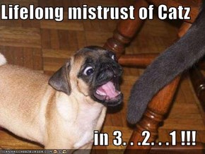 Lifelong mistrust of Catz  in 3. . .2. . .1 !!!