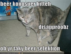 beer konosuer kitteh disapproobz ob yr taky beer selektion