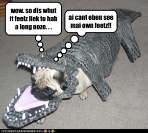 Pugadile or CrocoPug