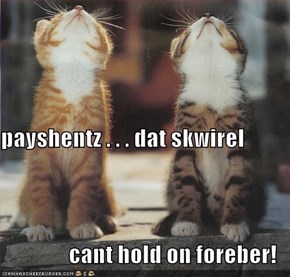 payshentz . . . dat skwirel cant hold on foreber!