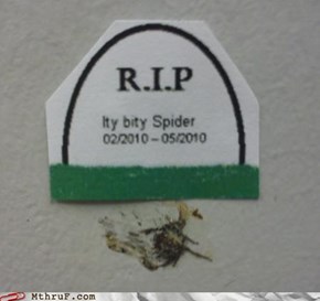 In Memoriam
