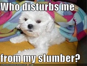 Who disturbs