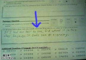 Test Answer WIN