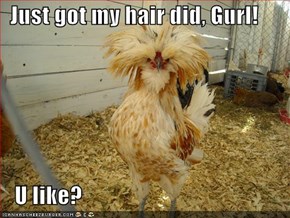 Just got my hair did, Gurl!     U like?