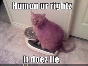 Humon ur rightz  it doez lie.