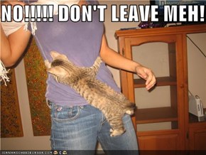 NO!!!!! DON'T LEAVE MEH!!!