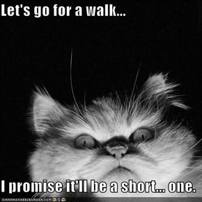 Let's go for a walk...  I promise it'll be a short... one.