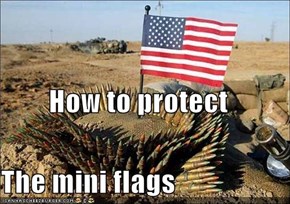 How to protect The mini flags