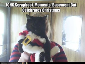 ICHC Scrapbook Moments: Basement Cat Celebrates Christmas
