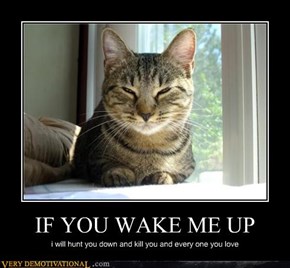 IF YOU WAKE ME UP