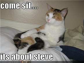 come sit....  its about steve